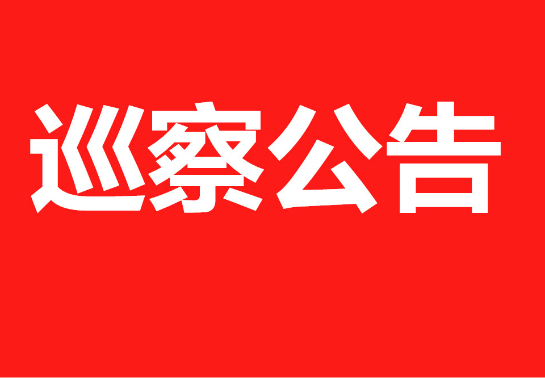  ��ʮ�Ľ������ί������Ѳ�칫��